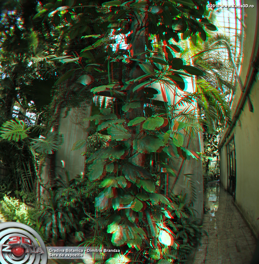 ZONA3D.ro